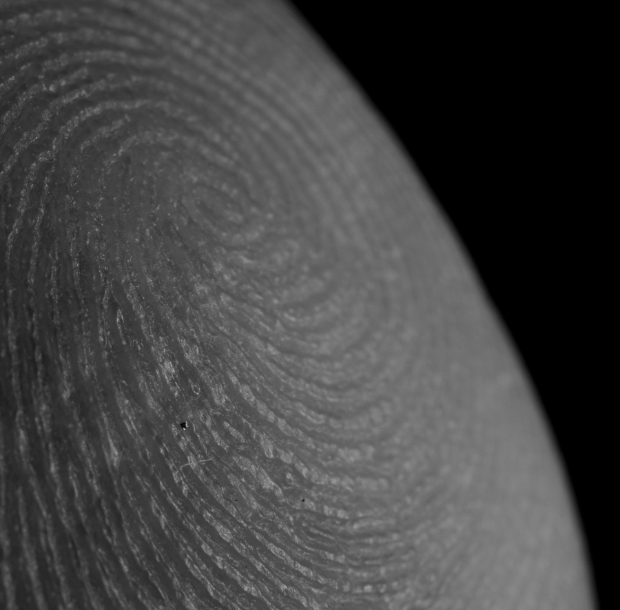 fingerprint (1 of 1).jpg